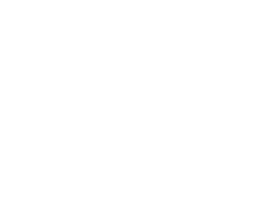 Green IT Talent